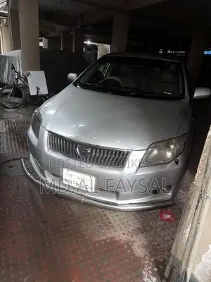 Toyota Axio 2006 Silver