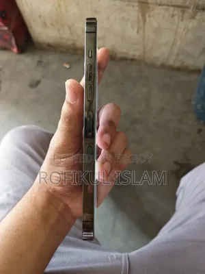 Apple iPhone 13 Pro Max 256 GB Gray
