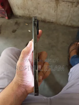 Apple iPhone 13 Pro Max 256 GB Gray