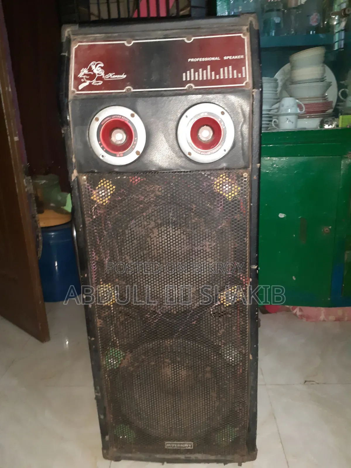 Double Speaker
