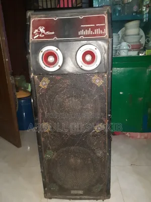 Double Speaker