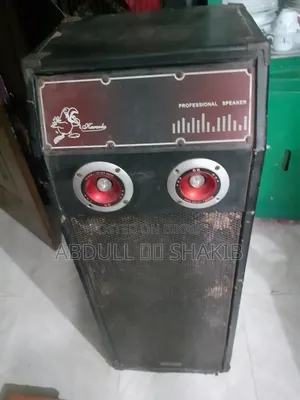 Double Speaker