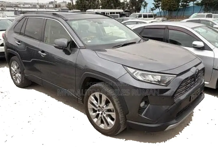 টয়োটা RAV4 ২০২১ গ্রে