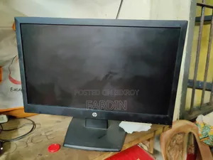 HP V194 Monitor