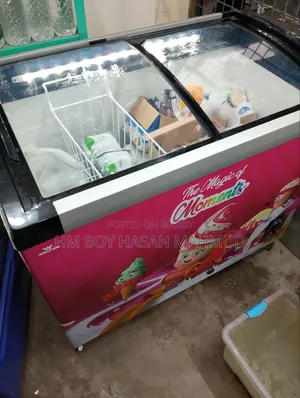 Beverage and Ice Cream Cooler Fridge for Shop