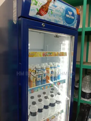 Beverage and Ice Cream Cooler Fridge for Shop