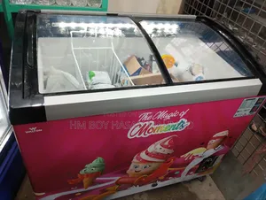 Beverage and Ice Cream Cooler Fridge for Shop