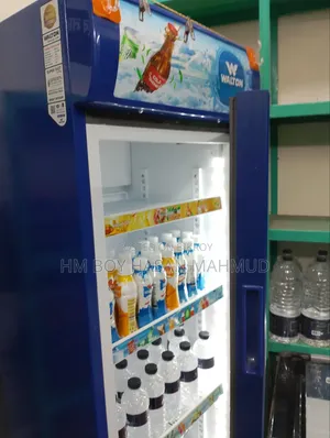 Beverage and Ice Cream Cooler Fridge for Shop