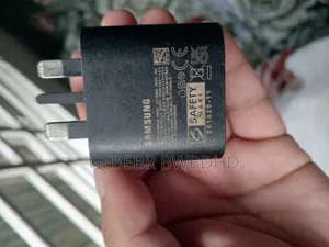 Original Samsung Charger