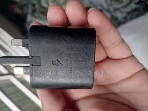 Original Samsung Charger