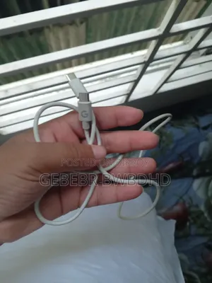 Original Samsung Charger