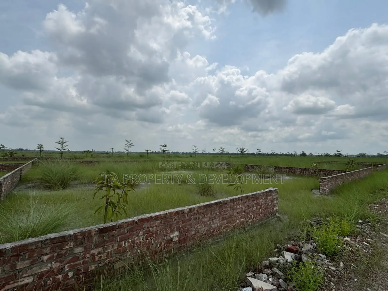 3 Katha North Facing Plot Sell , N Block