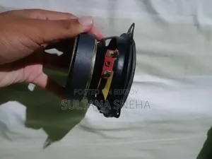 4 Inch Woofer