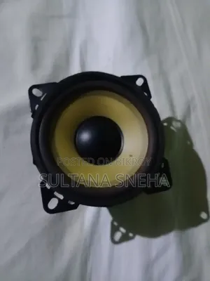 4 Inch Woofer