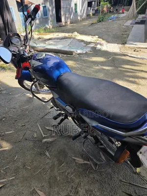 বাজাজ সিটি ১০০ ২০১৪ ব্রাউন