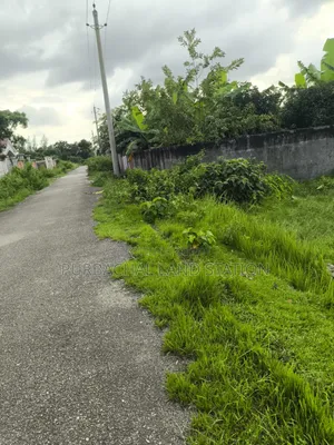 Minimum Price 3 Katha Plot Urgent Sale in Sector 28, Purbachal