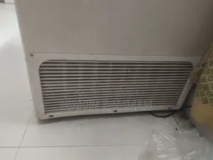 Singer Deep Fridge