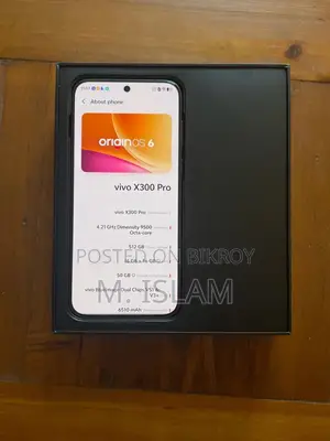 New Vivo X300 Pro 512 GB Gray