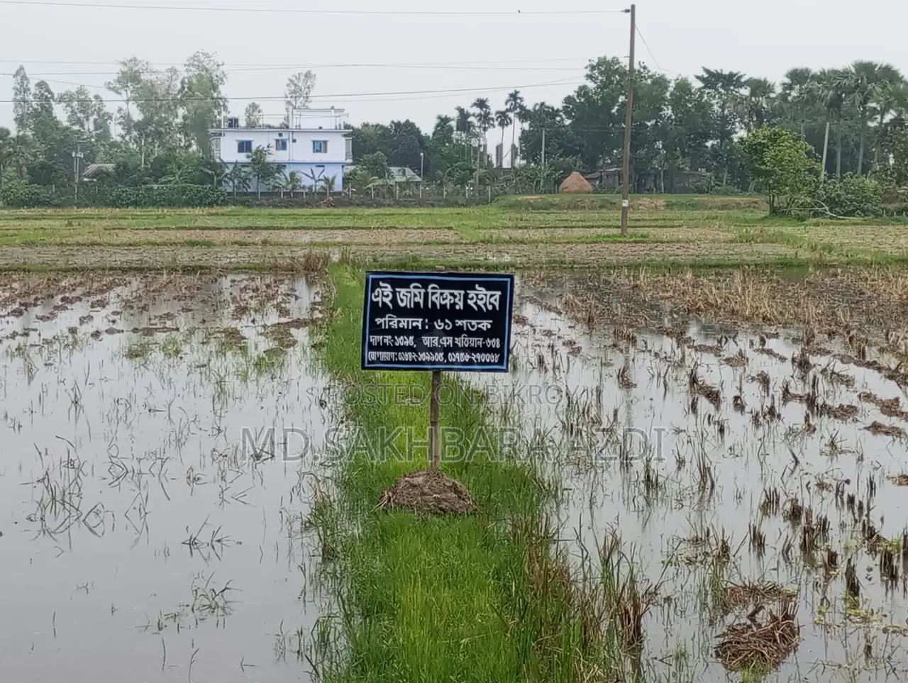 Land for Sale 61 Decimals – Joypurhat, Trimohoni, Kalai