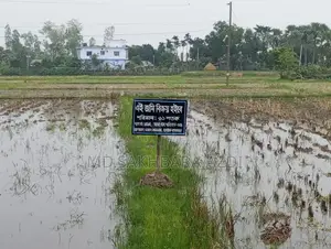 Land for Sale 61 Decimals – Joypurhat, Trimohoni, Kalai
