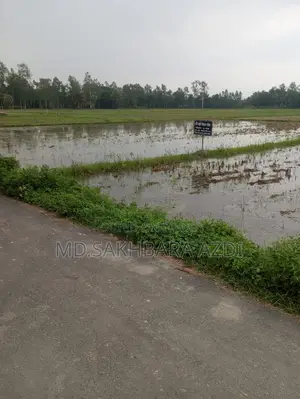 Land for Sale 61 Decimals – Joypurhat, Trimohoni, Kalai
