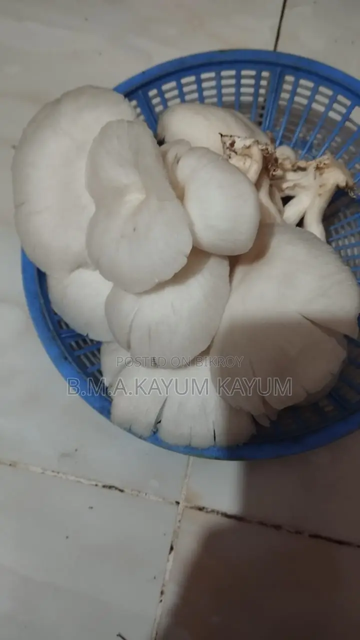 Fresh Oyster Mushroom | Fresh Oyster Mushroom | Home Delivery