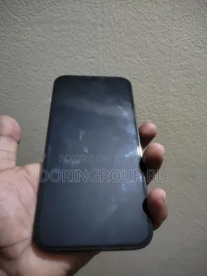 অ্যাপল আইফোন ১২ প্রো ম্যাক্স ২৫৬ জিবি গ্রে