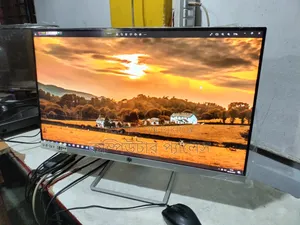 24 HP New Display IPS Borderless Monitor