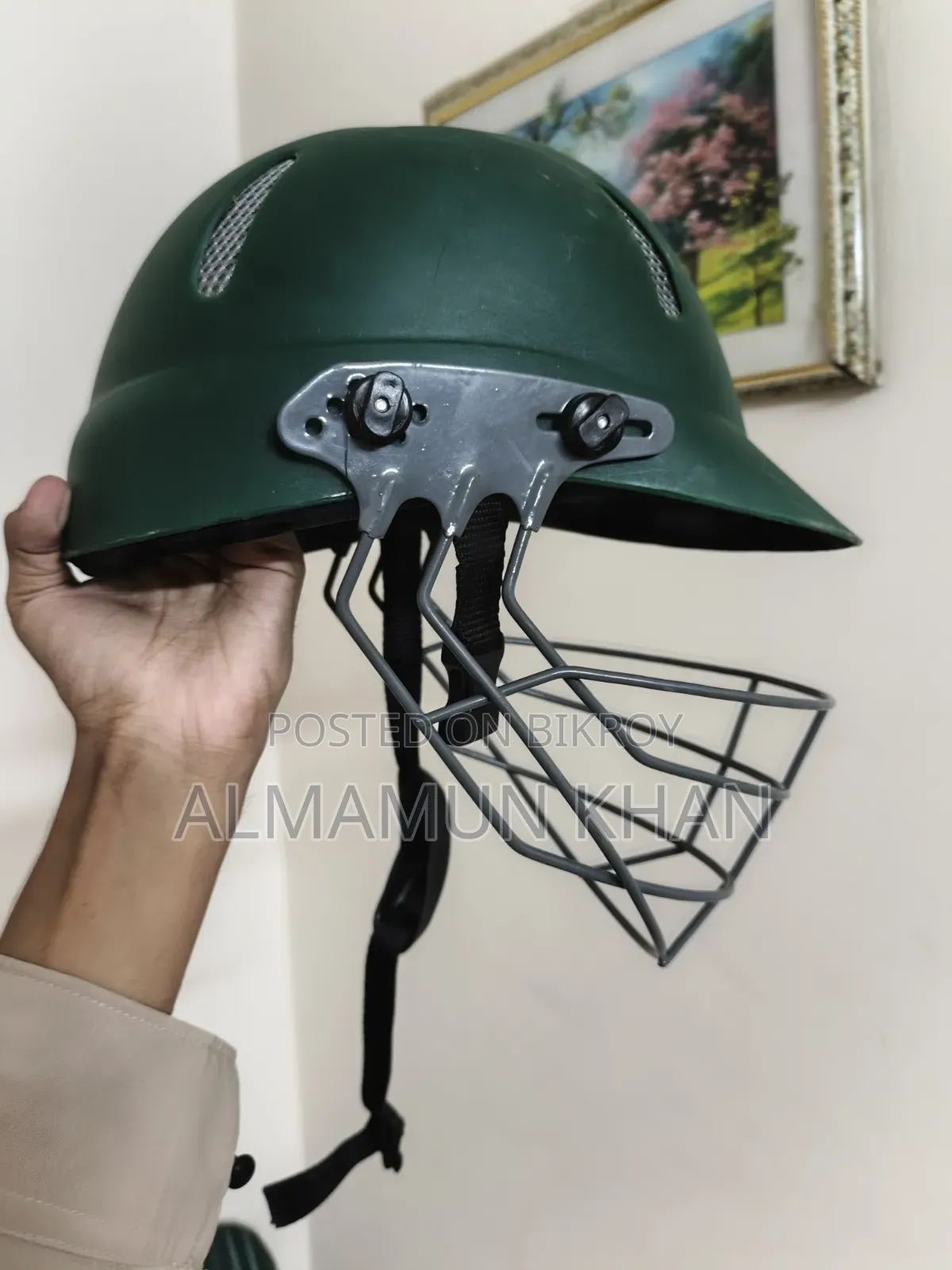 Cricket Helmet