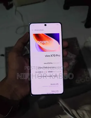 Vivo X70 Pro 256 GB Silver