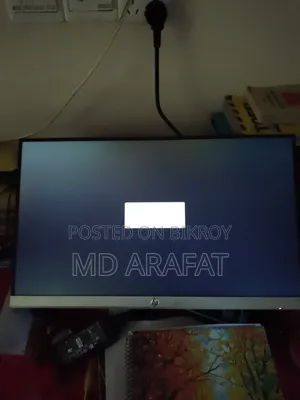 HP Monitor