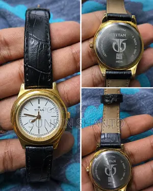 Titan Quartz Analog Watch