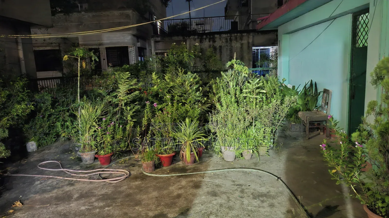 Mini Flat for Rent in Mohammadpur