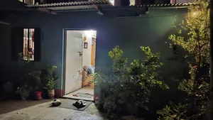 Mini Flat for Rent in Mohammadpur