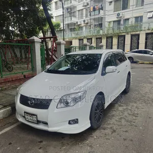 Toyota Corolla Fielder 2007 Pearl