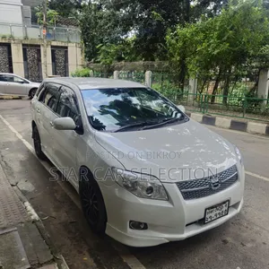 Toyota Corolla Fielder 2007 Pearl