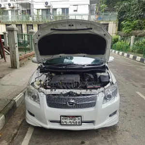 Toyota Corolla Fielder 2007 Pearl