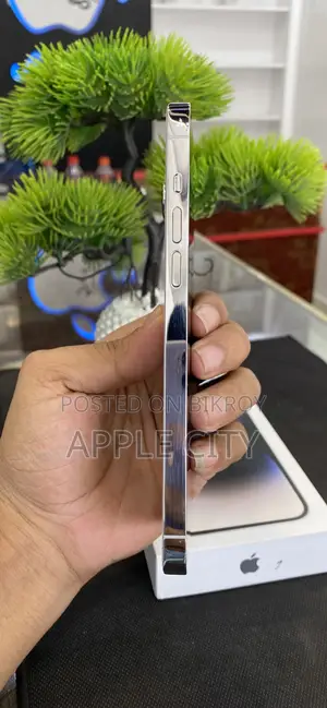 Apple iPhone 14 Pro Max 256 GB White