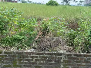 রাজউক পূর্বাচল সেক্টর-৮ ৭.৫ কাঠা জমি বিক্রয়ের জন্য