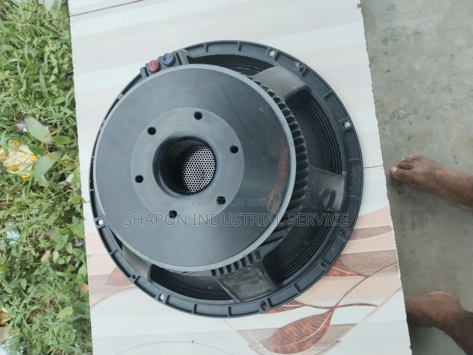 ১৫" প্রফেশনাল স্পিকার