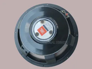 ১৫" প্রফেশনাল স্পিকার