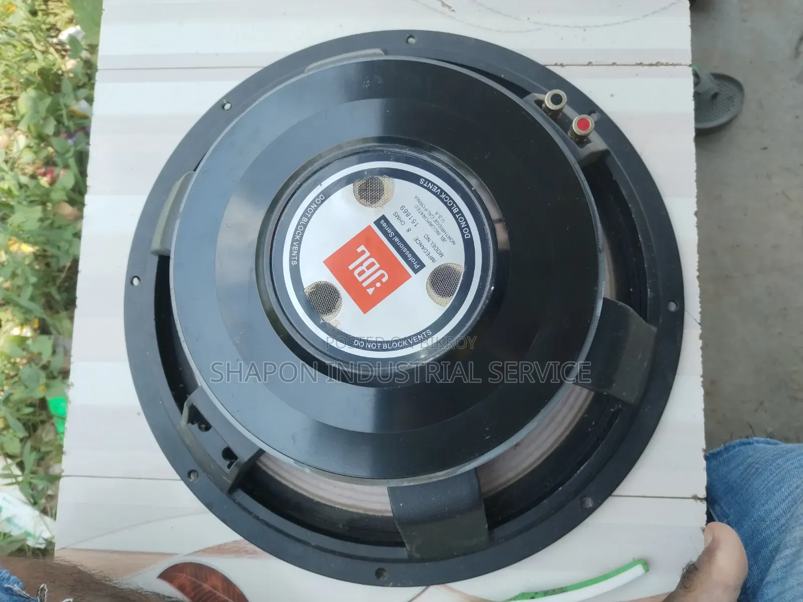 ১৫" প্রফেশনাল স্পিকার