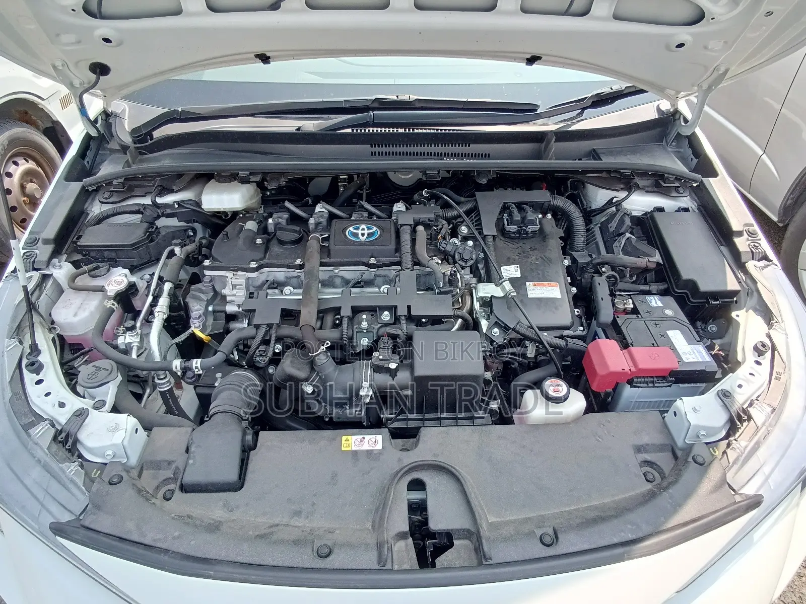 Toyota Corolla 2021 Pearl