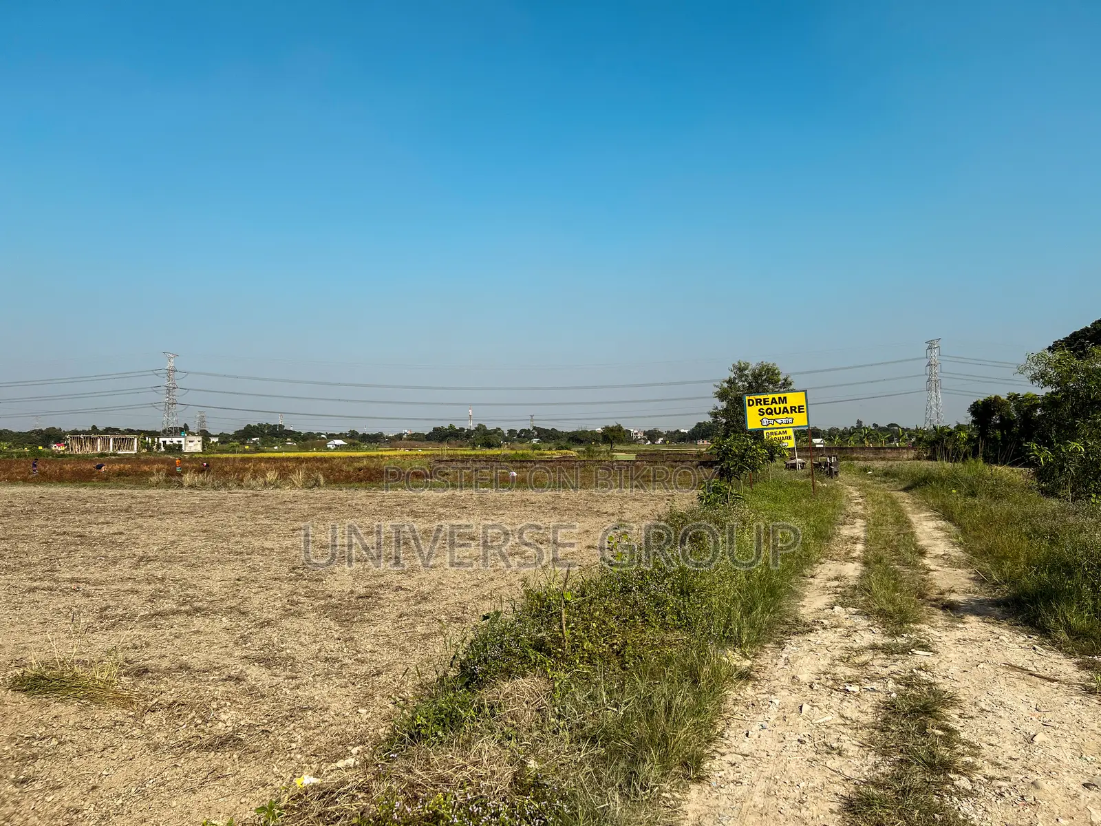 Dreamsquare Development