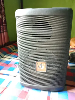 পোর্টেবল কারাওকে স্পিকার