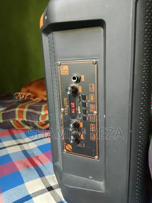 Portable Karaoke Speaker