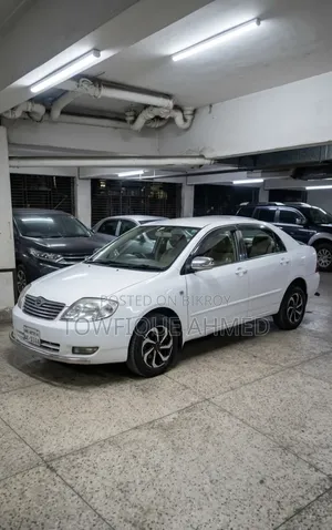Toyota Corolla 2004 White