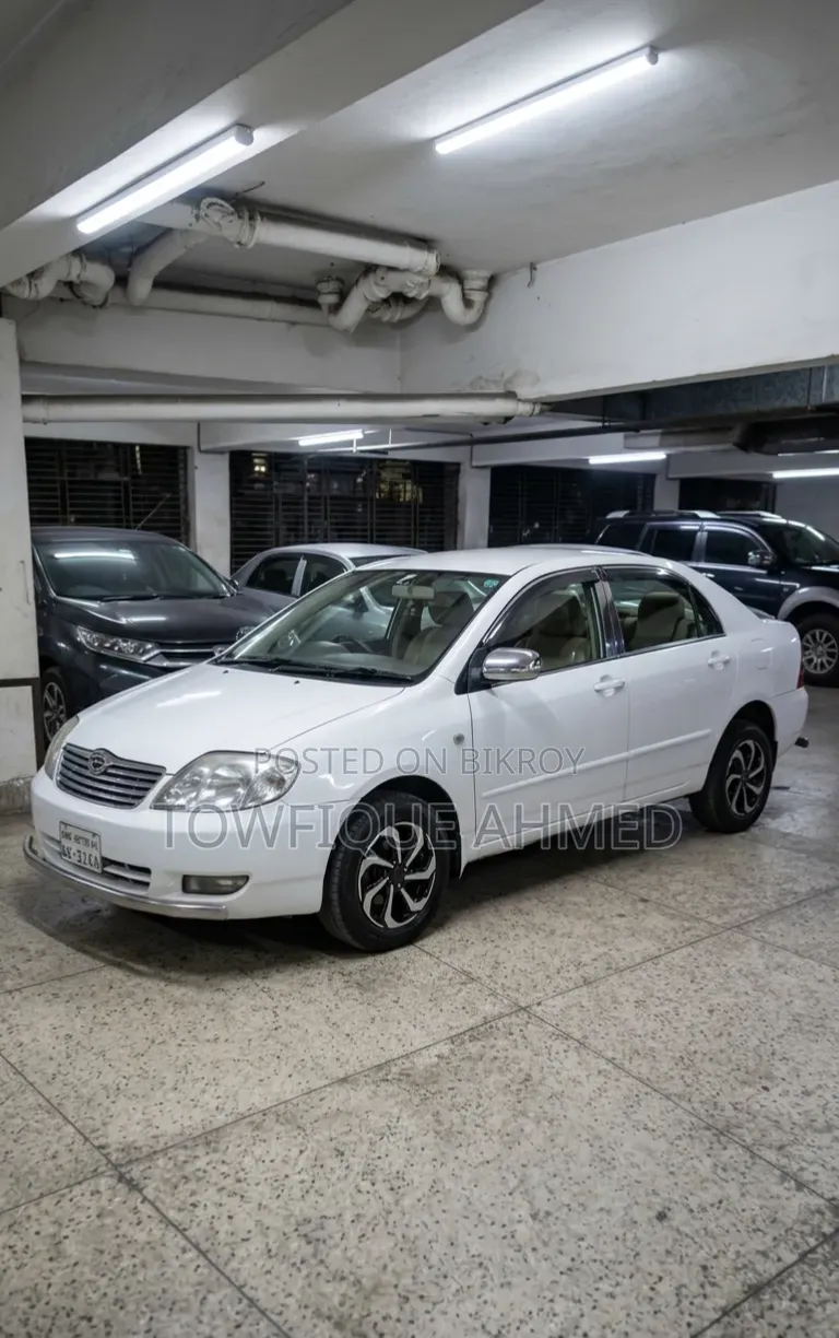 Toyota Corolla 2004 White