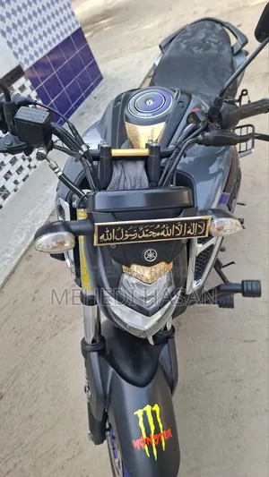 Yamaha FZS V3 ২০২৩ গ্রে