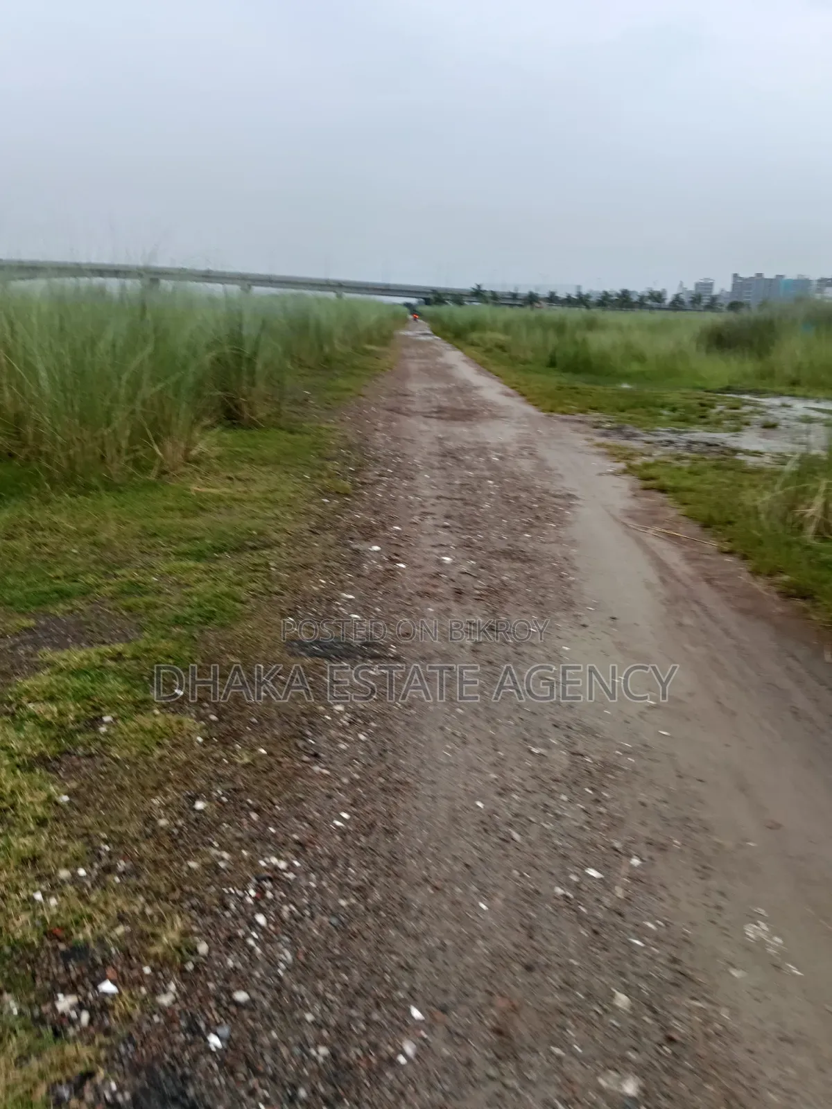 Urgent Block-M, 10 Katha Plot Sale